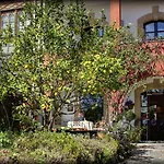 Отель Mar Del Sueve