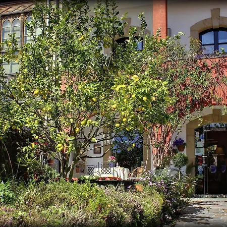 Hotel Mar Del Sueve