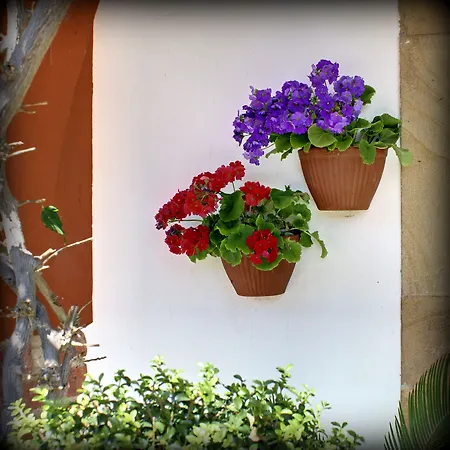 Mar Del Sueve Отель Колунга