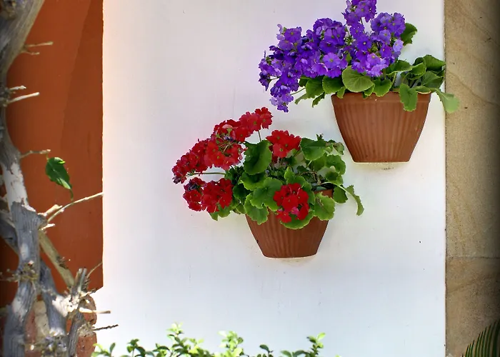 Mar Del Sueve Hotel Colunga